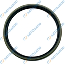 NISSAN DIESEL Сальник, 100-114-12, GSParts